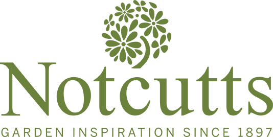 Notcutts