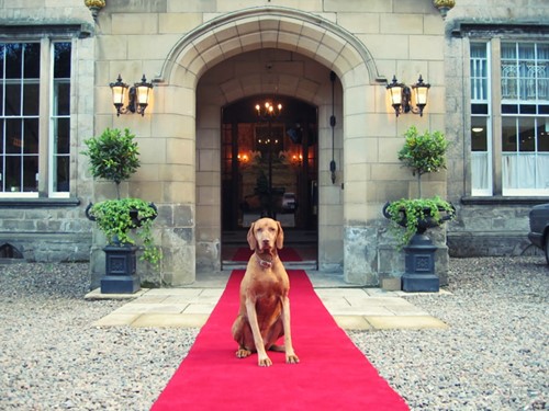 Melville Castle relaunched as a hotel helped by a procurement partner