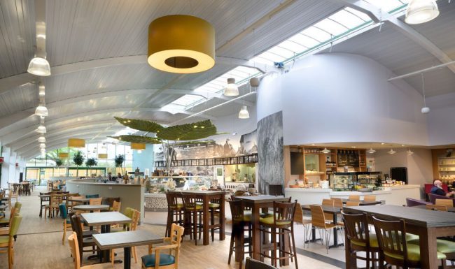 Monkton Elm Garden Centre