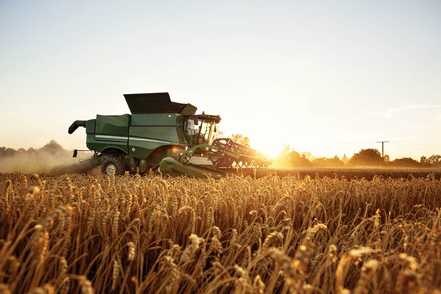 Combine Harvesting On A Wheat Field